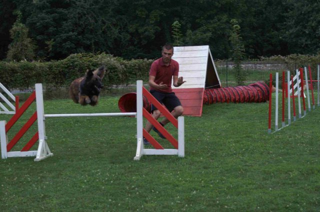 agility 2011-09
